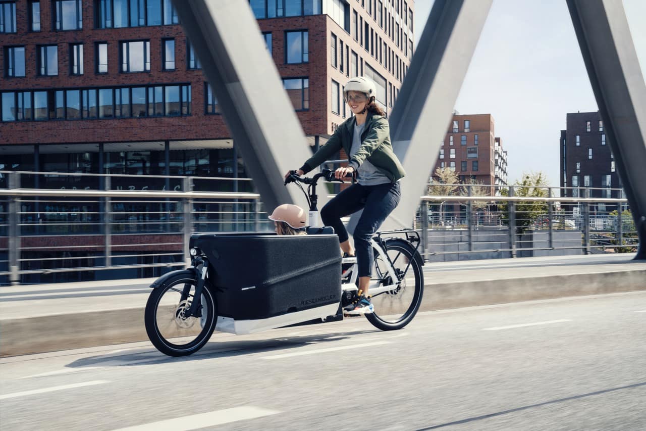 Velo electrique allemand riese muller online